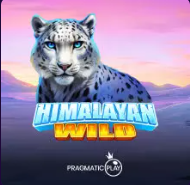 Himalayan Wild Slot